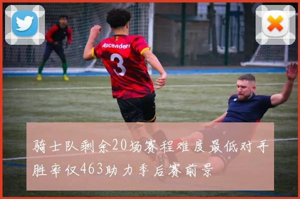 骑士队剩余20场赛程难度最低对手胜率仅463助力季后赛前景