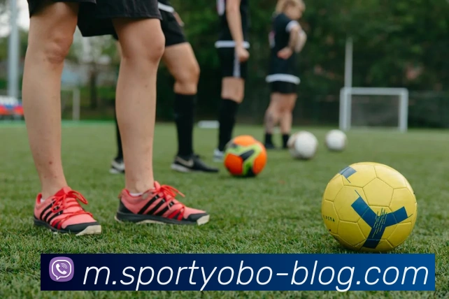 yobo体育服务体系